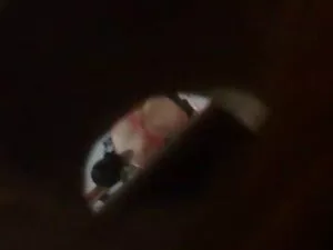 2 filles Futanari et ...